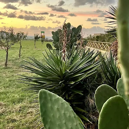 Agricampeggio Alessandra Campsite Torrenova (Sicily)