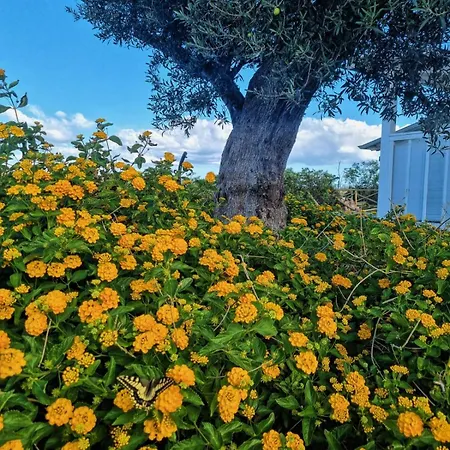 Campsite Agricampeggio Alessandra Torrenova (Sicily)