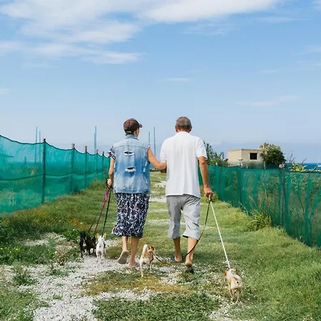 Campsite Agricampeggio Alessandra Torrenova (Sicily)